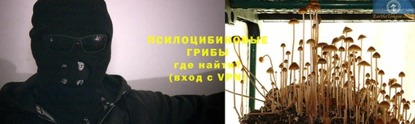 эйфоретик Куйбышев