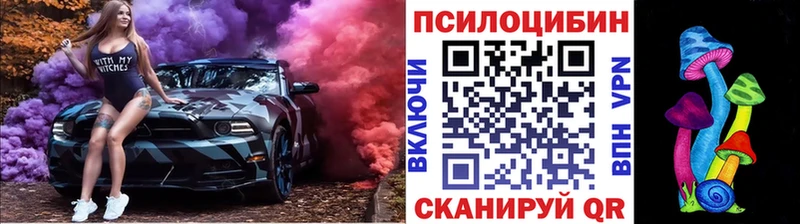 Псилоцибиновые грибы GOLDEN TEACHER Купить закладки Валуйки